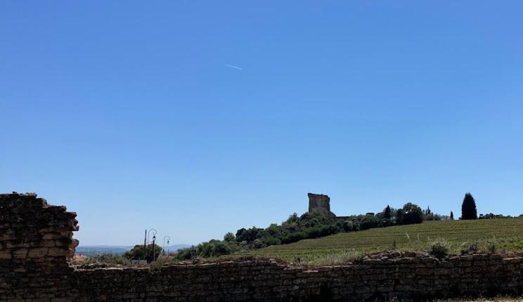 Bienvenue à la Ahron's home Châteauneuf-du-Pape Exterior foto